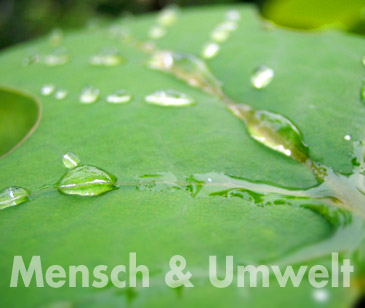 illu_mensch_und_umwelt