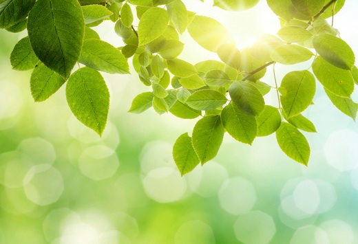 illu_energie_aus_sonne