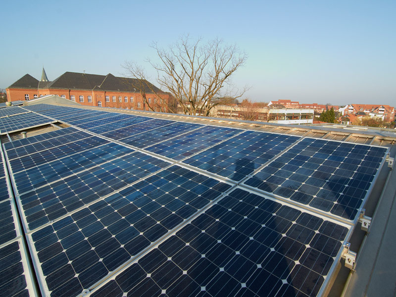 09AufdachmontagePelizaeus